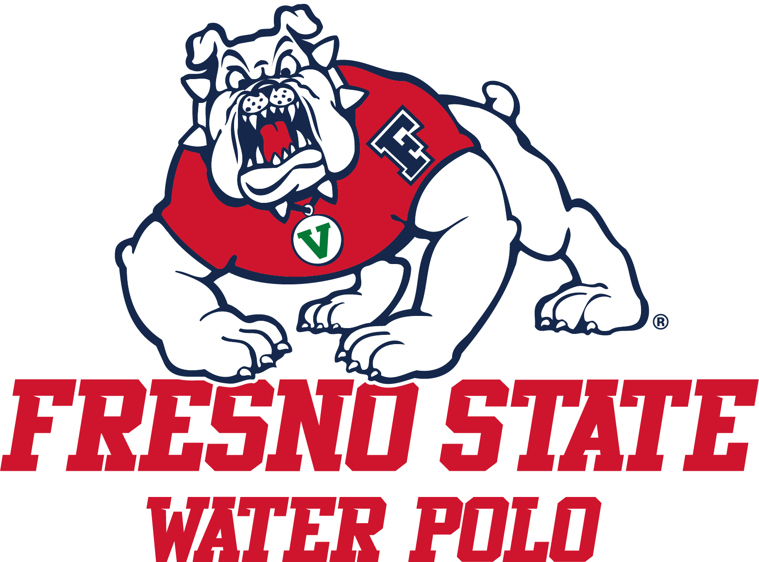 Fresno State University Banner