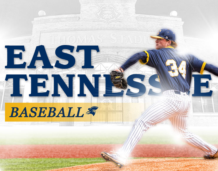East Tennessee State University Banner