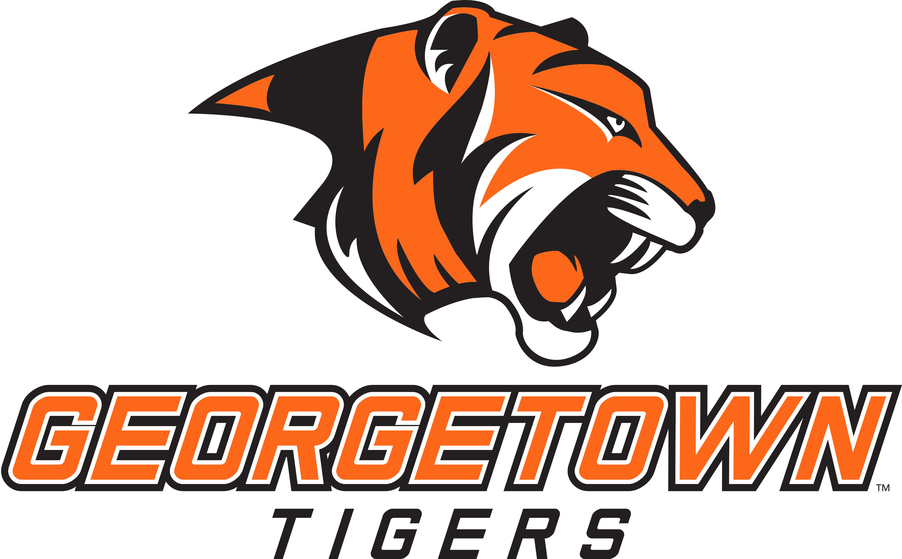 Georgetown Collegex Logo