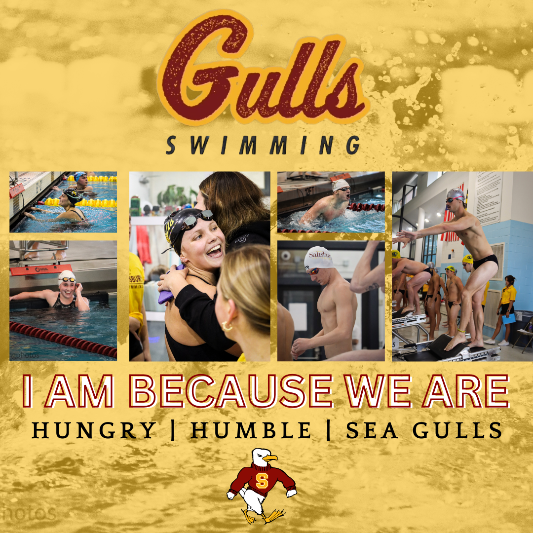 Salisbury University Banner