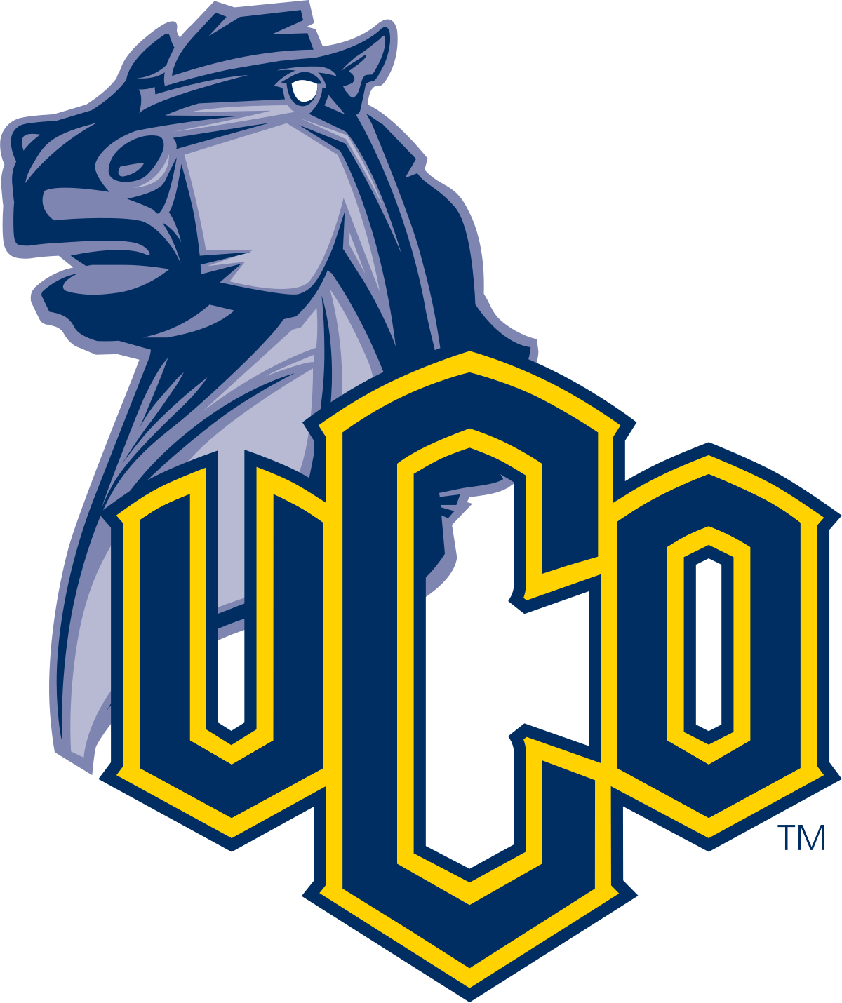 University of Central Oklahoma Banner