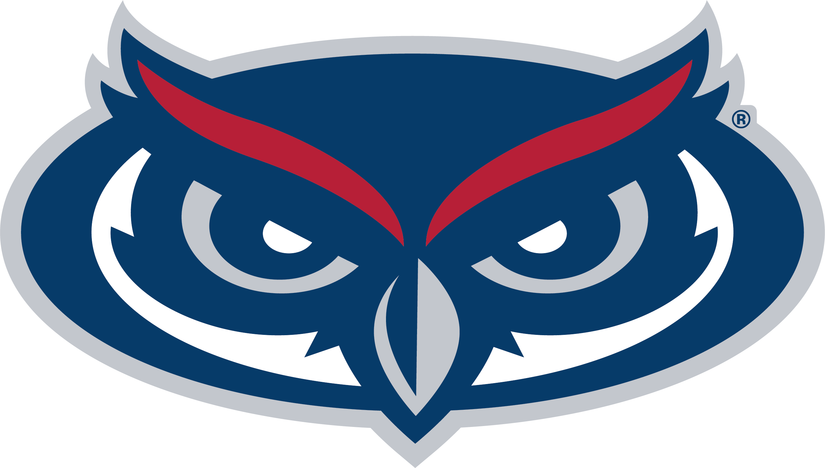 Florida Atlantic University Banner