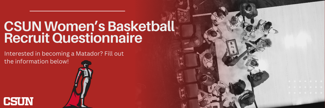California State University-Northridge Banner