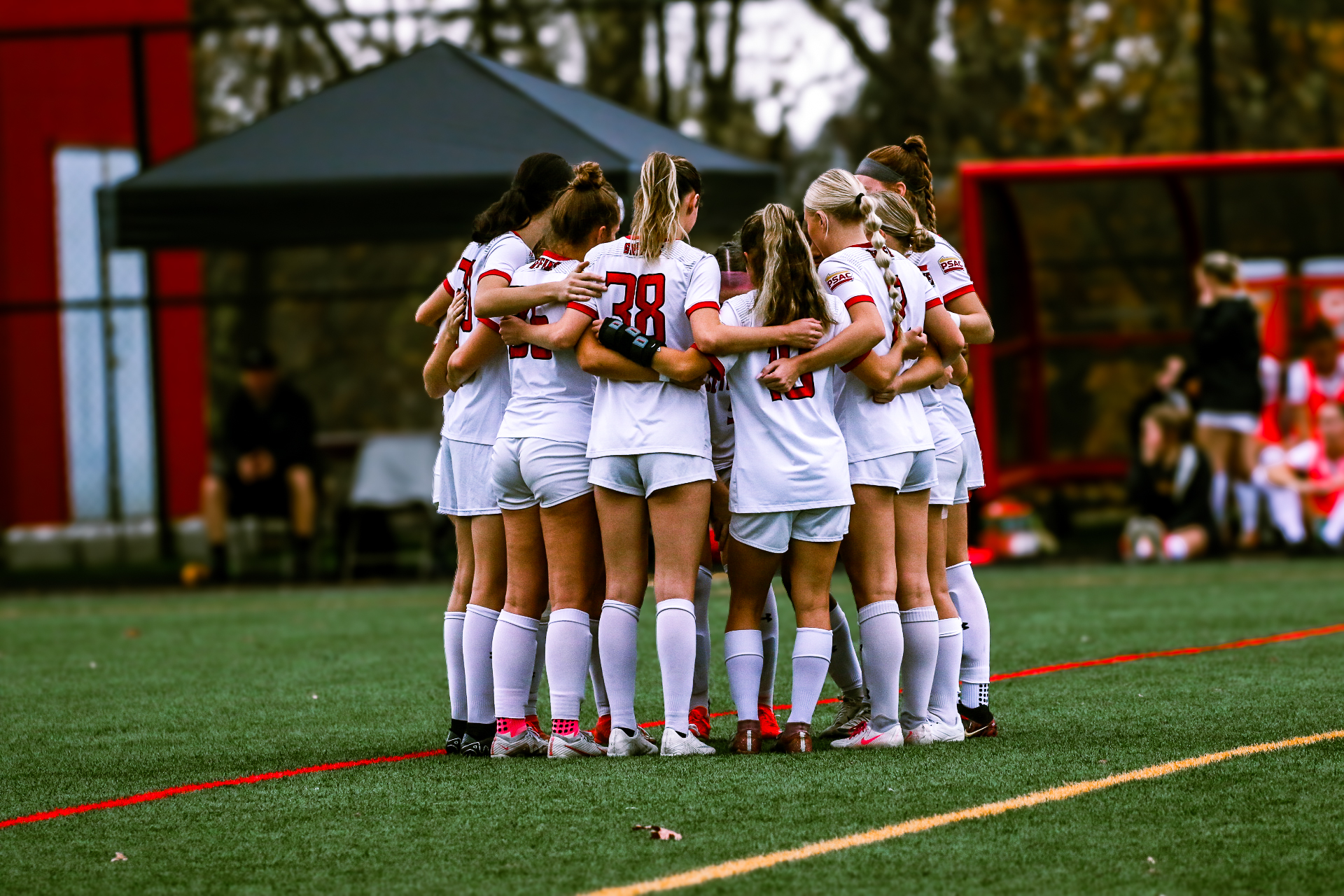 Seton Hill University Banner