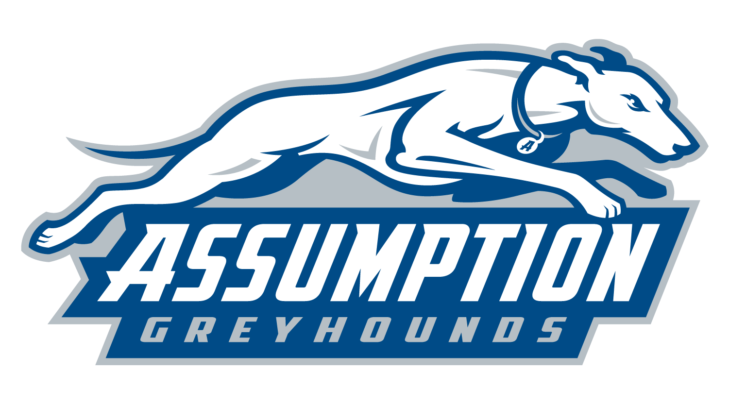 Assumption College Baseball Alumni Questionnaire