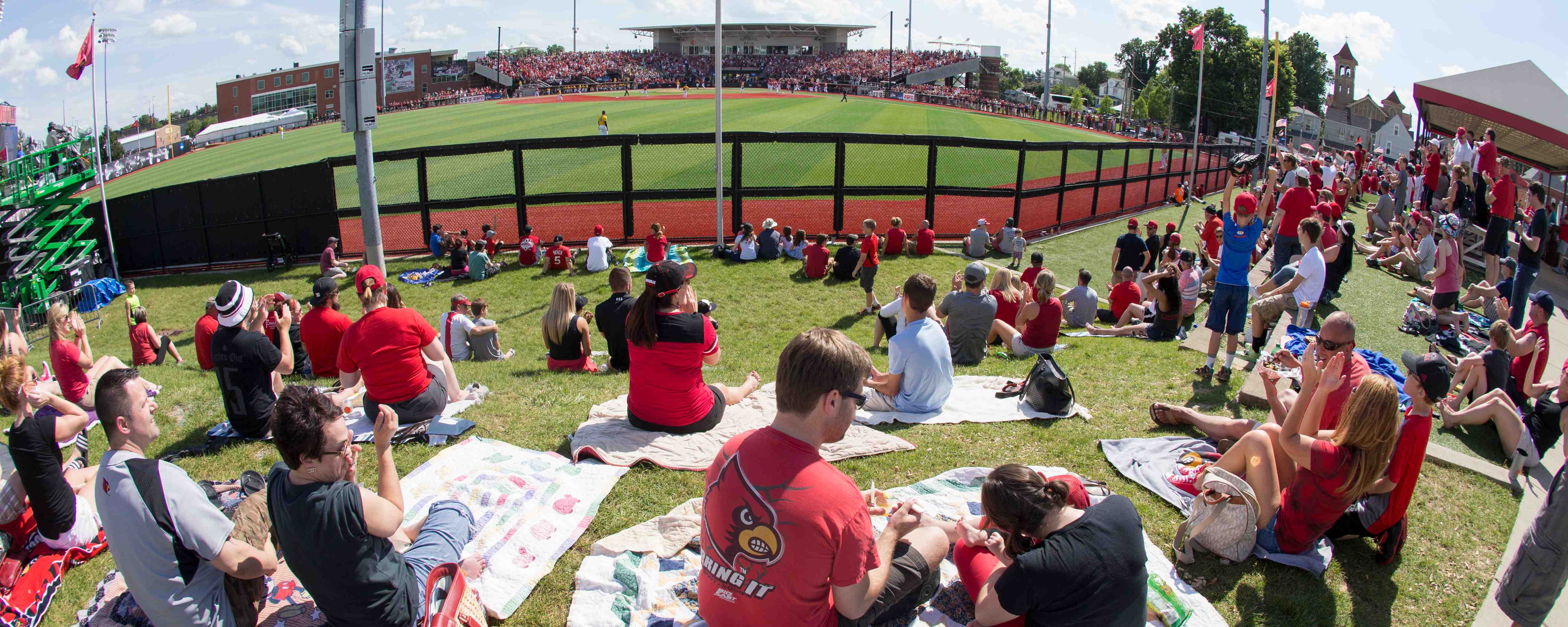 University Louisville Baseball