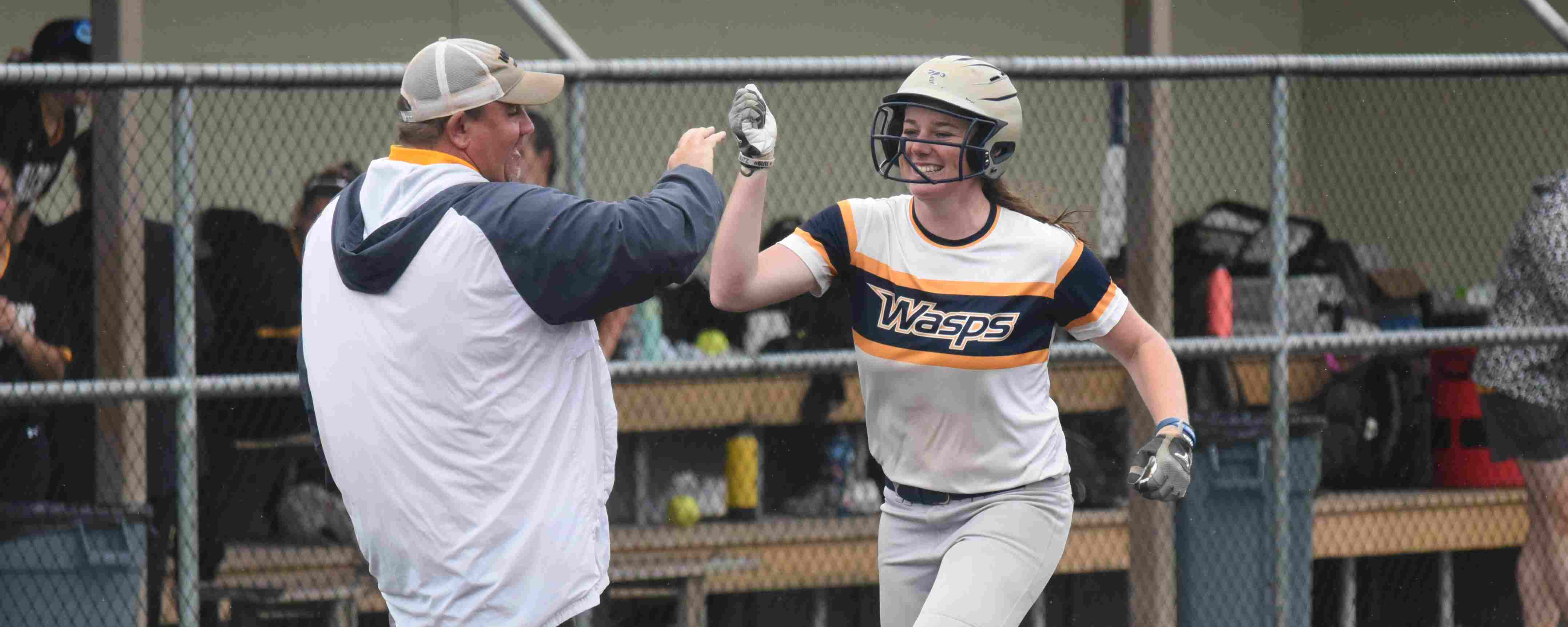 Emory & Henry Baseball Camps