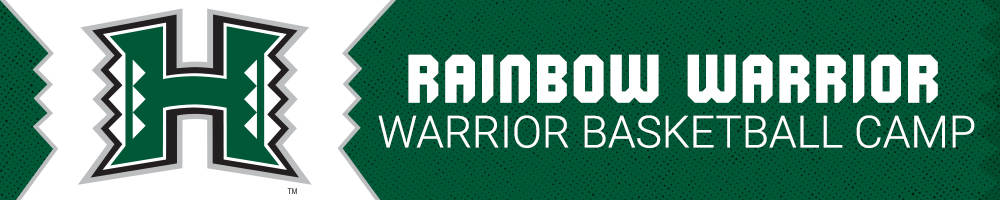 Men's Champion Gray Hawaii Rainbow Warriors Icon Logo Basketball